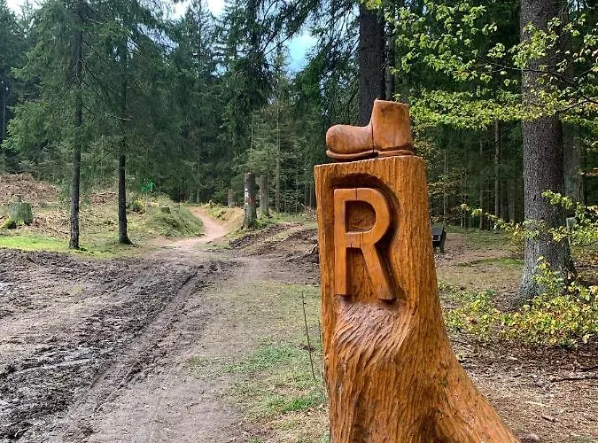 Fuer Alt Und Jung סונברג