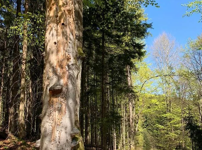 Appartement Fuer Alt Und Jung *